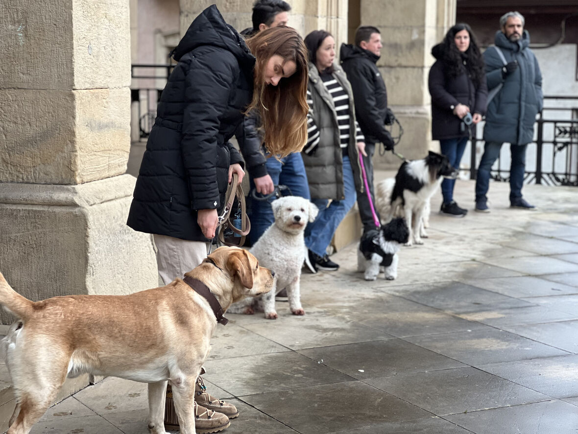 Abierta la inscripción para el curso de formación de propietario canino responsable