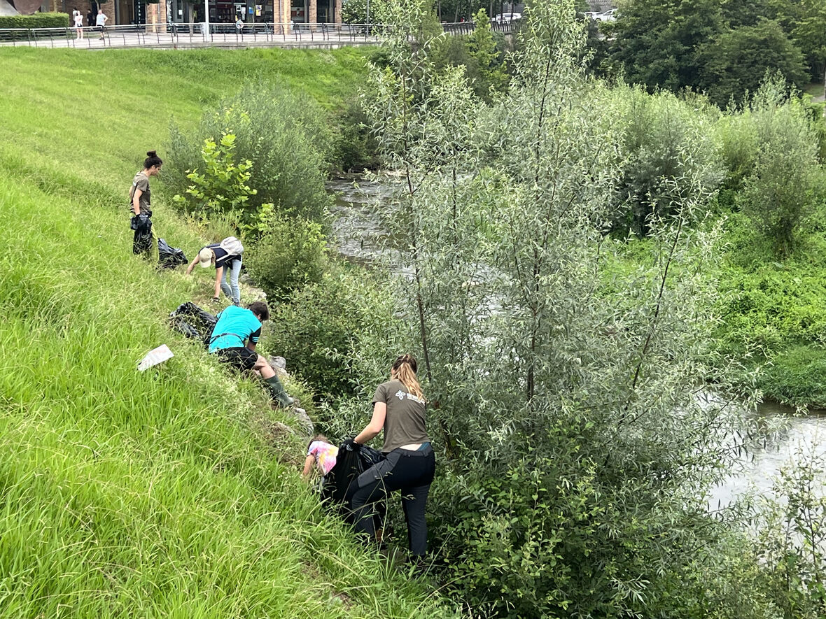 landare erauzketa