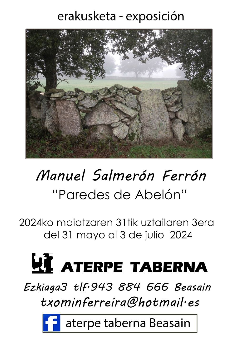 MANUEL SALMERON web