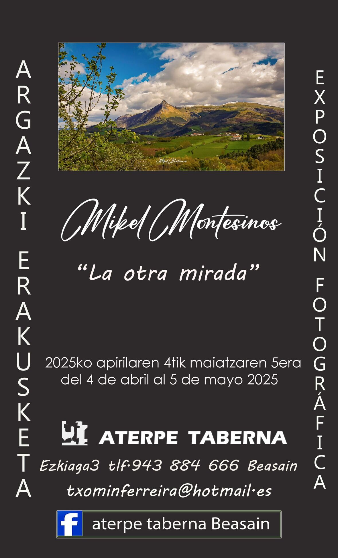 mikel Montesinos web