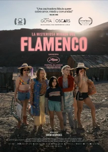 LaMisteriosaMiradaDelFlamenco.jpg