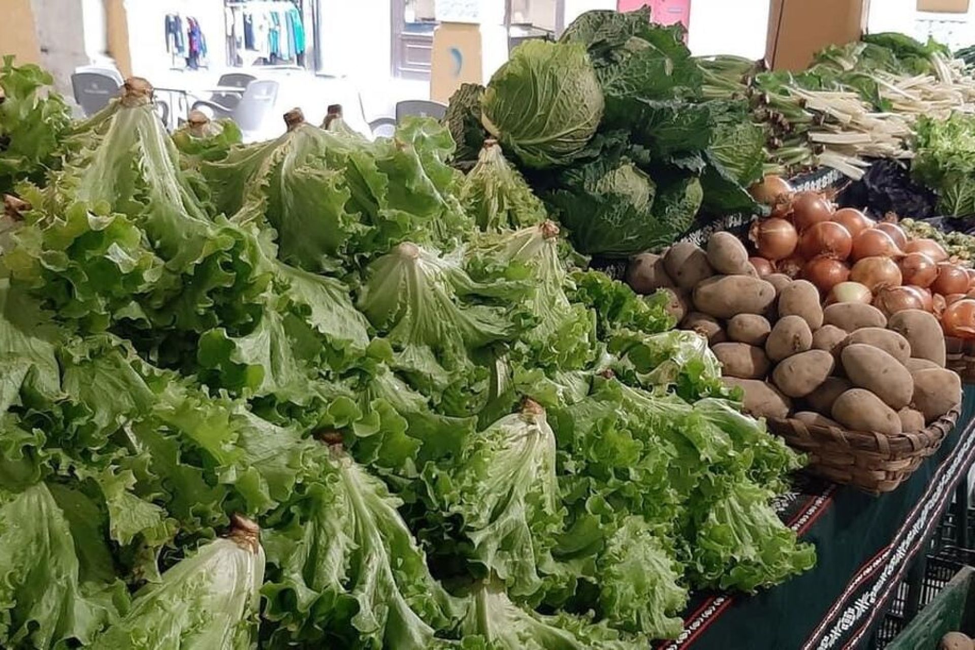 Productos hortícolas de primavera en el mercado del sábado