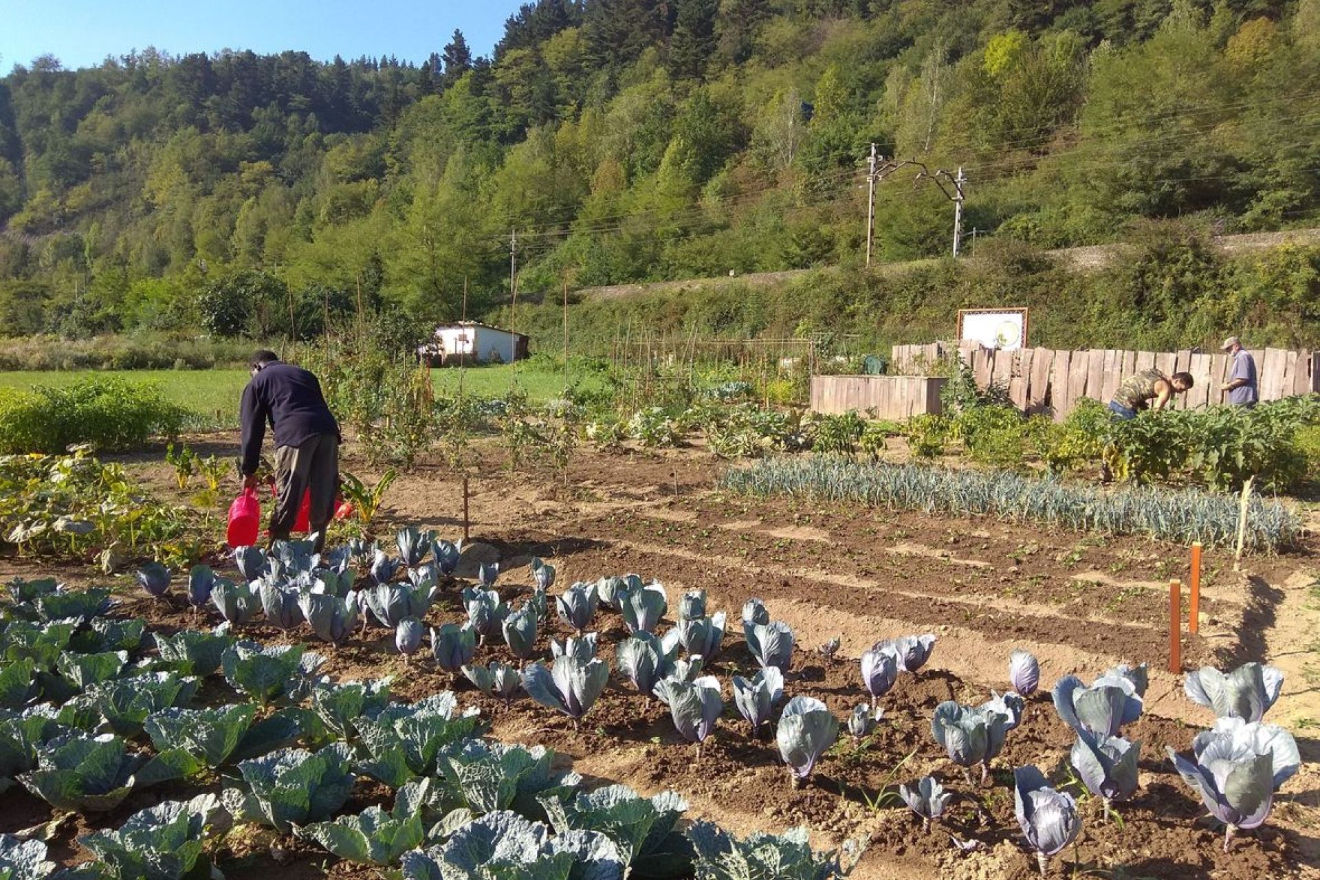 El Parque de huertas Baratze Parkea de Beasain cumple un año