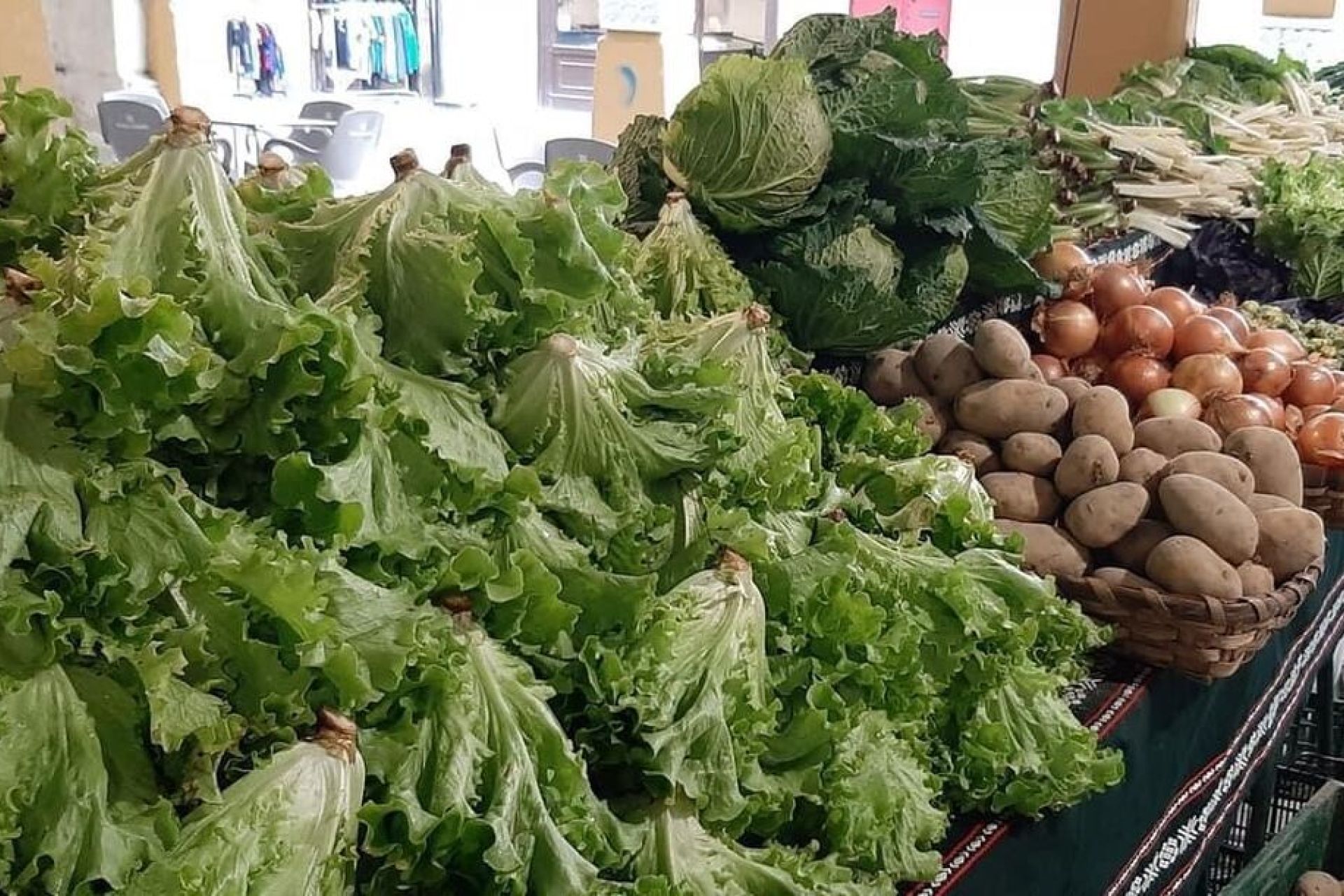 Productos hortícolas de primavera en el mercado del sábado