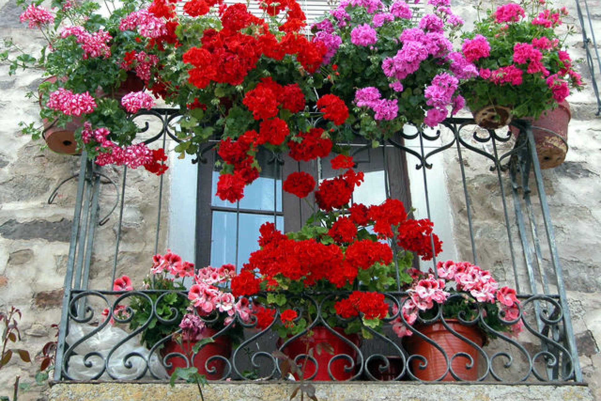 Ampliado el plazo de inscripción en el concurso de ornato floral de ventanas y balcones hasta el 30 de junio